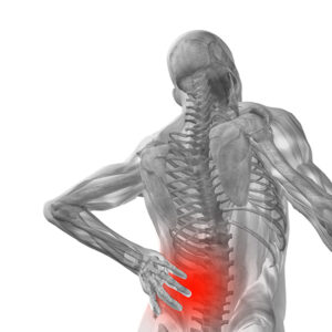 תמונת שלד עם מיקוד על אזור גב תחתון ואילוסטרציה של כאב גב תחתון